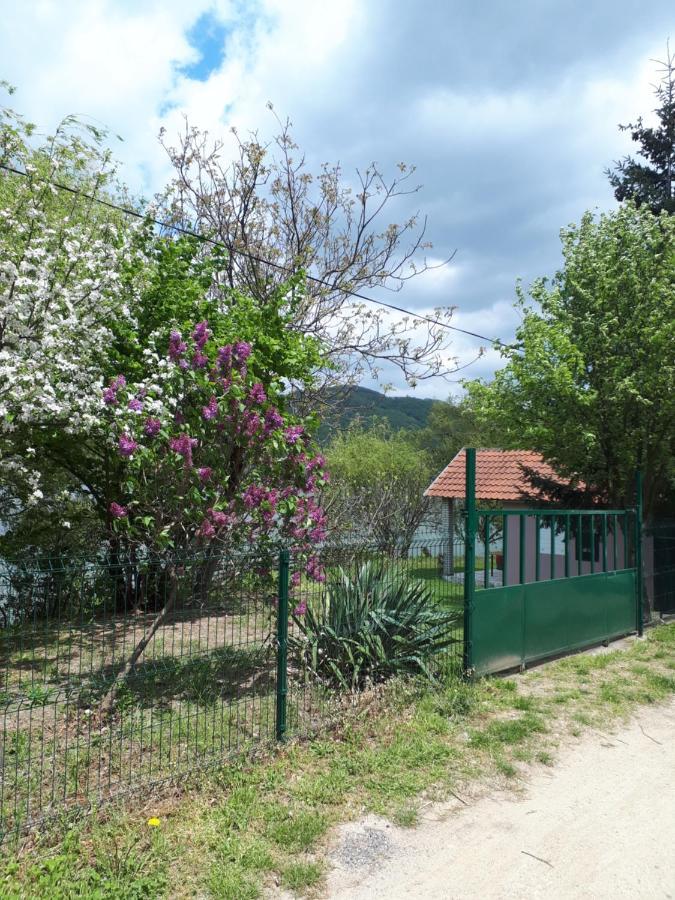 Dedin Raj Villa Golubac Dış mekan fotoğraf