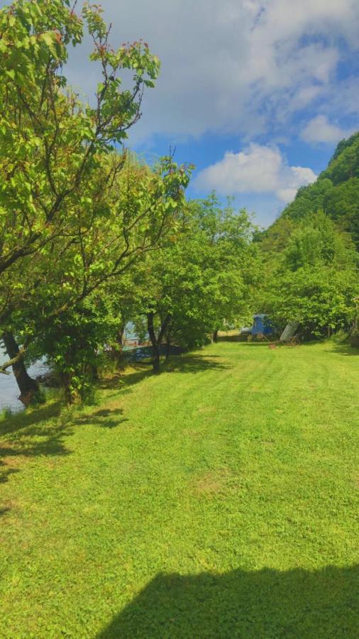 Dedin Raj Villa Golubac Dış mekan fotoğraf
