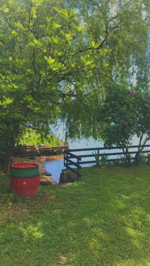 Dedin Raj Villa Golubac Dış mekan fotoğraf