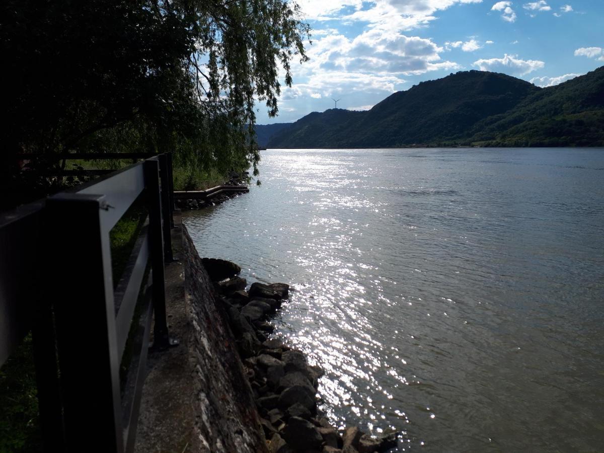 Dedin Raj Villa Golubac Dış mekan fotoğraf